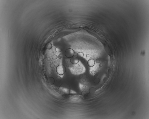 X0000114720175200911181413