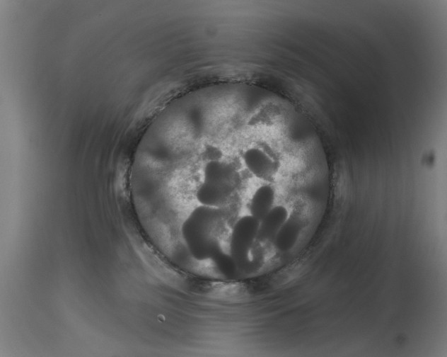 X0000114720185200911181413