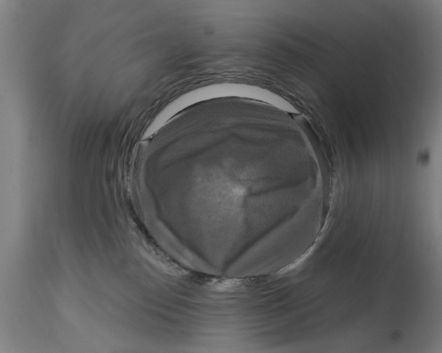 X0000114720186200911181413