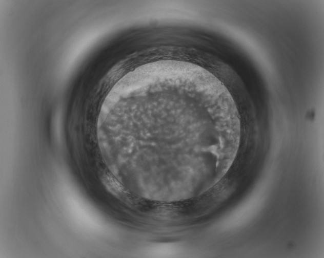 X0000114720189200911181413