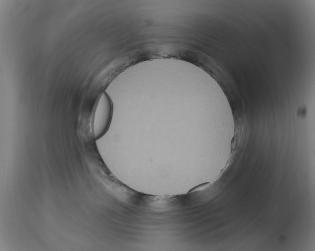 X0000114720191200911181413