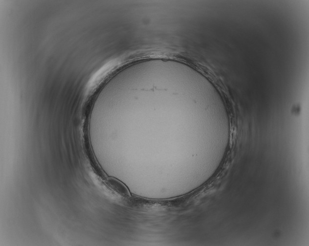 X0000114720197200911181412