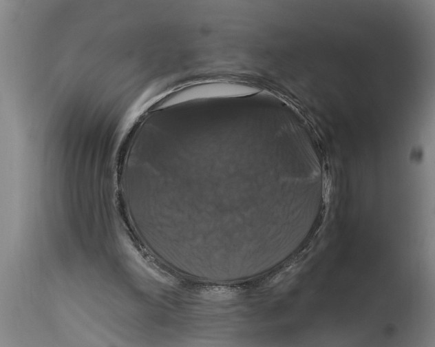 X0000114720198200911181412