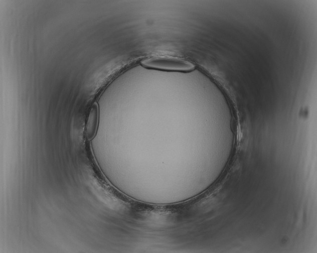 X0000114720201200911181412