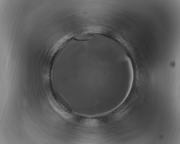 X0000114720203200911181412