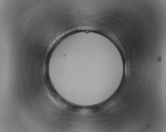 X0000114720204200911181412