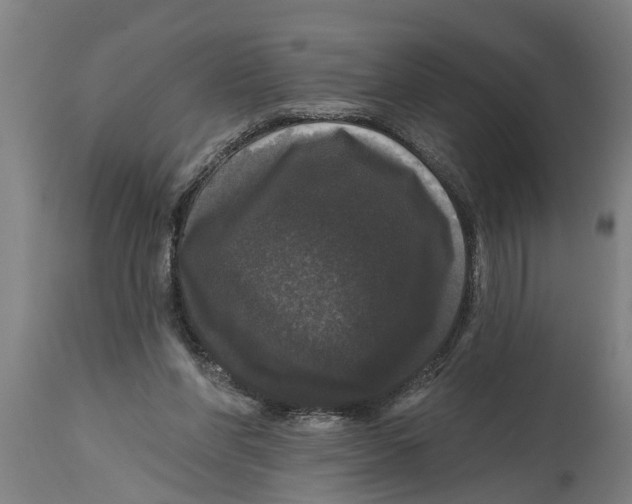 X0000114720206200911181412