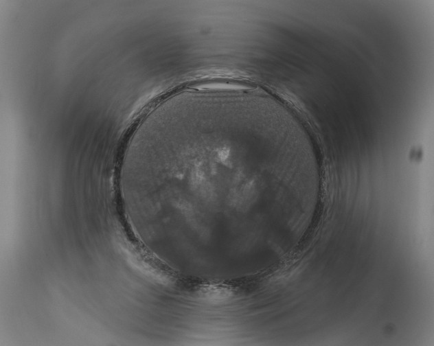 X0000114720207200911181412