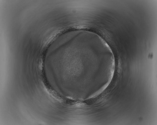 X0000114720210200911181412