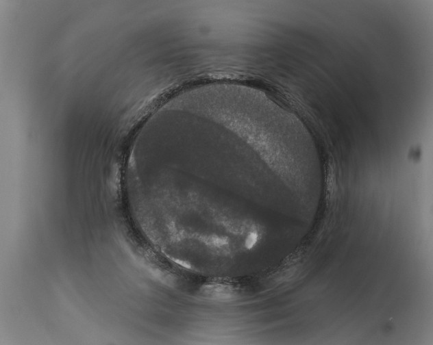 X0000114720211200911181412