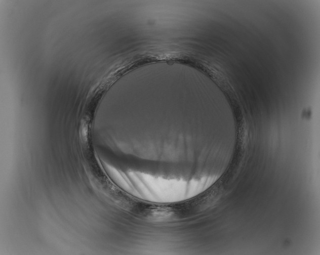 X0000114720214200911181412