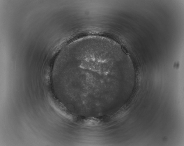 X0000114720215200911181412