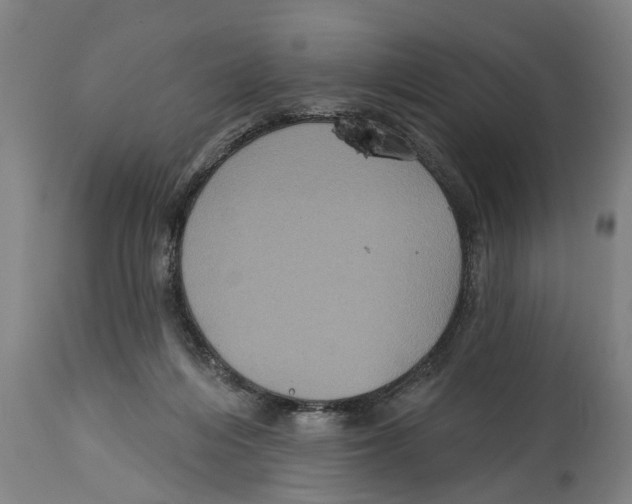 X0000114720216200911181412