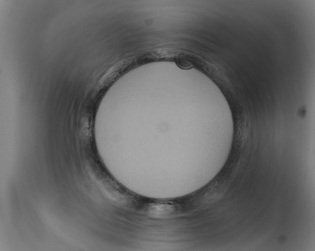 X0000114720220200911181412