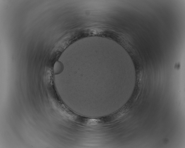 X0000114720222200911181412