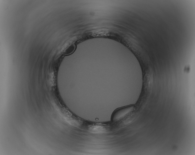 X0000114720224200911181412