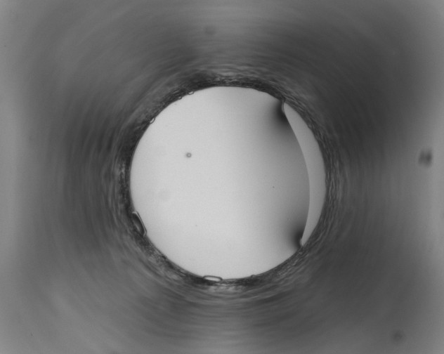 X0000114720225200911181412