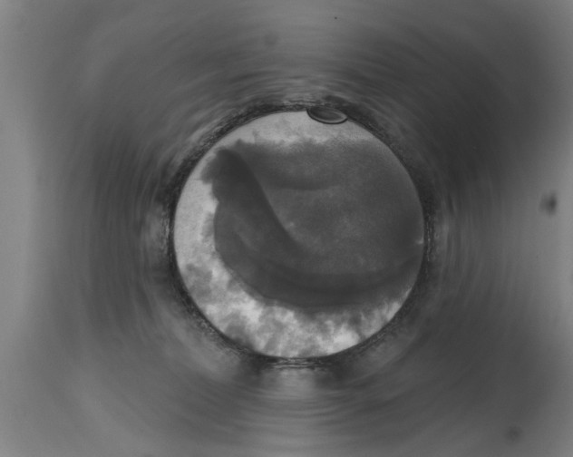 X0000114720228200911181412