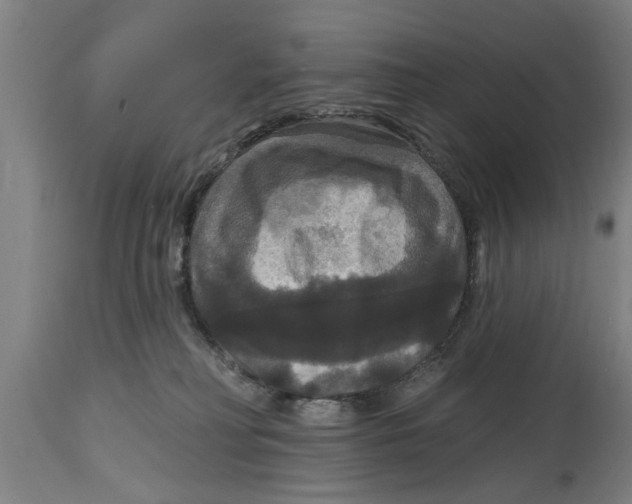 X0000114720230200911181412