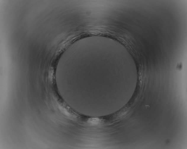 X0000114720231200911181412