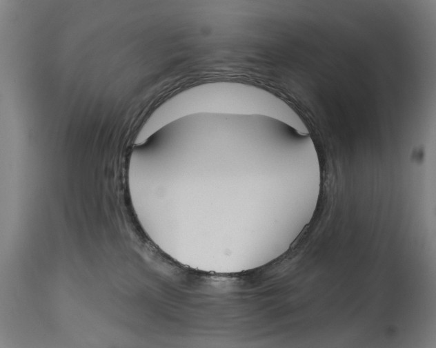 X0000114720233200911181412