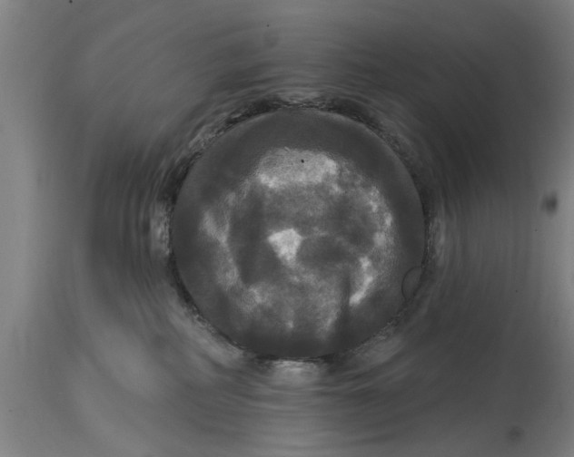 X0000114720234200911181412