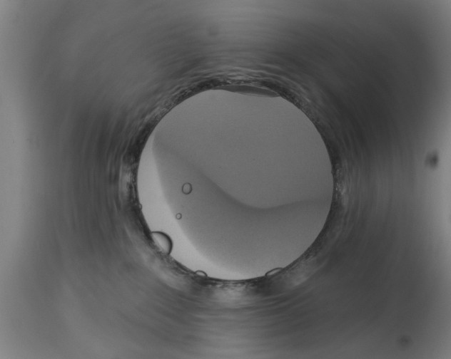 X0000114720235200911181412