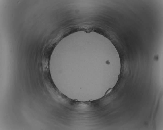 X0000114720236200911181412