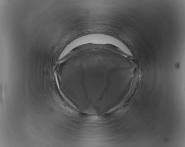 X0000114720237200911181412