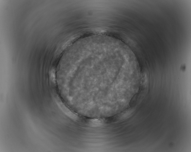 X0000114720238200911181412