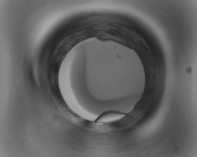 X0000114720239200911181412