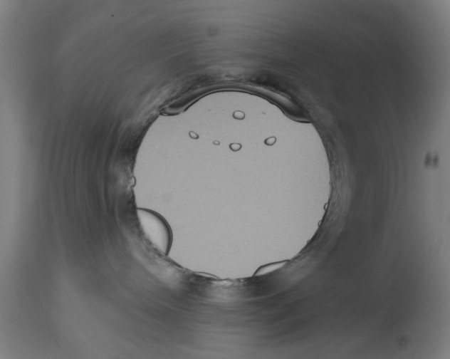 X0000114720240200911181412