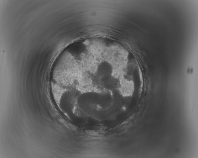 X0000114720241200911181411