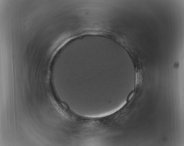 X0000114720243200911181411