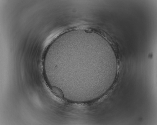 X0000114720245200911181411