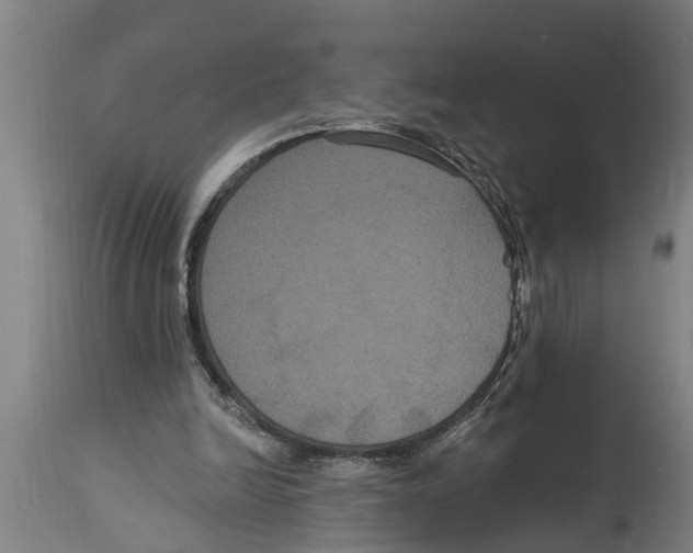 X0000114720246200911181411