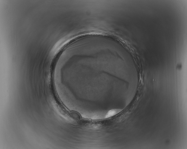 X0000114720247200911181411