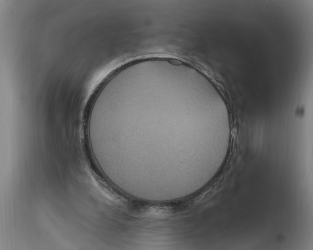 X0000114720248200911181411