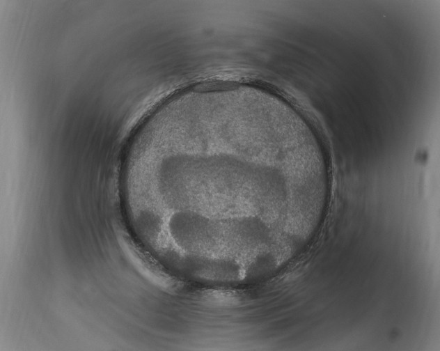 X0000114720250200911181411