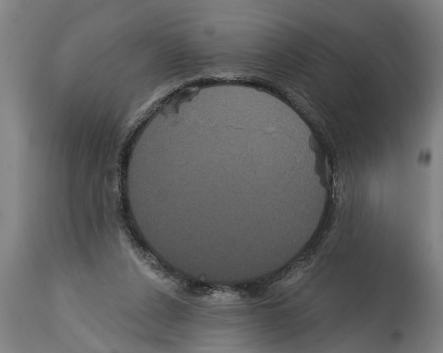 X0000114720256200911181411