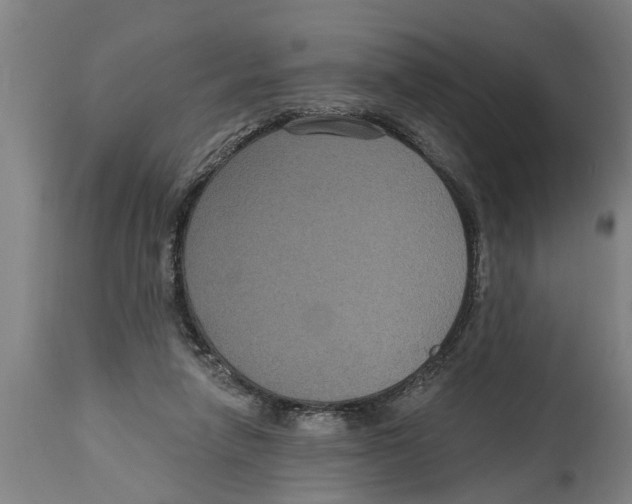 X0000114720258200911181411