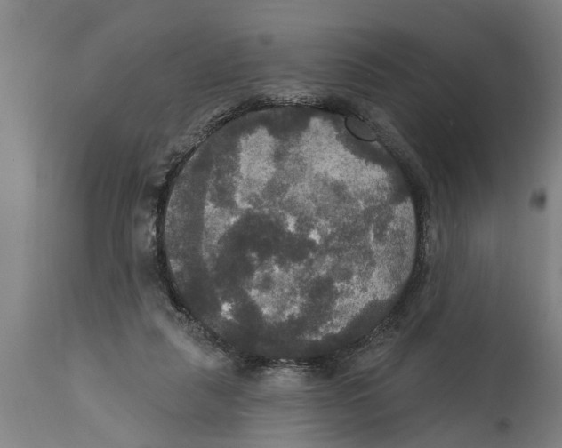 X0000114720259200911181411