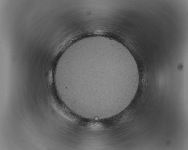 X0000114720262200911181411