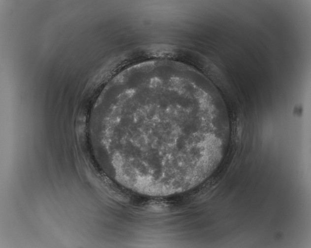 X0000114720263200911181411