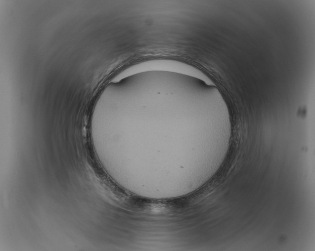 X0000114720264200911181411