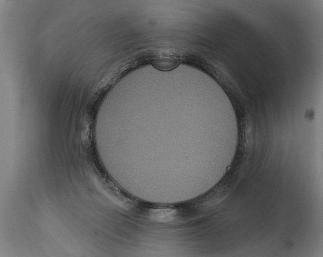 X0000114720266200911181411