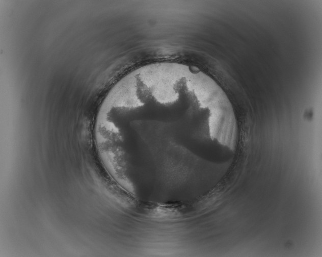 X0000114720270200911181411