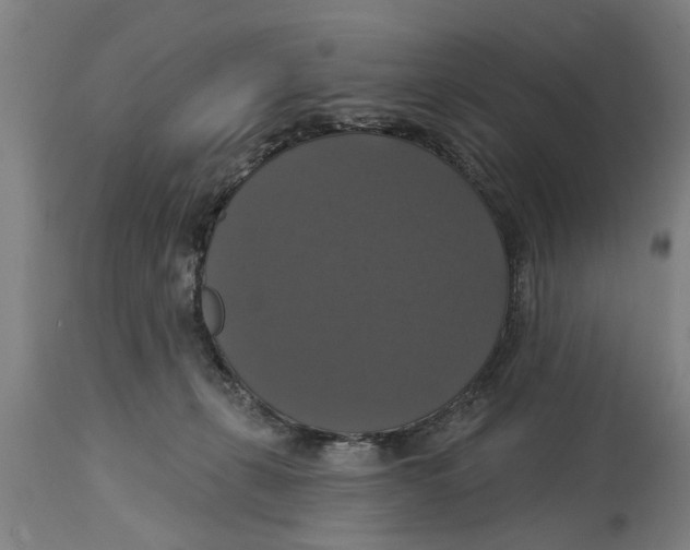 X0000114720271200911181411