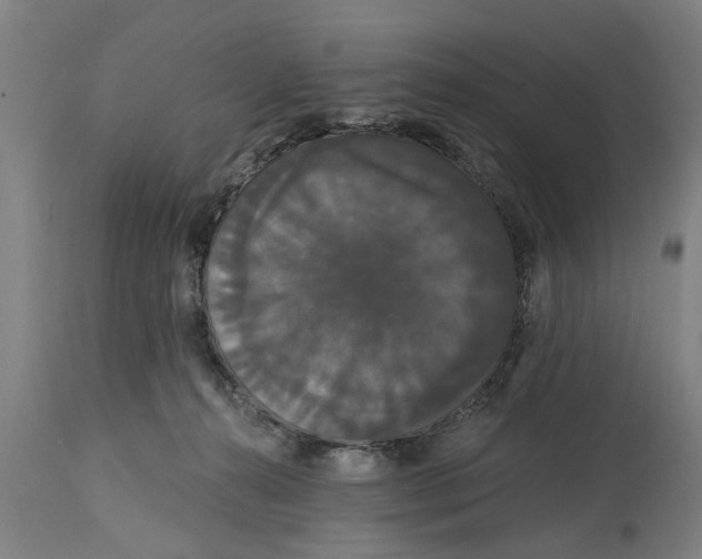 X0000114720272200911181411