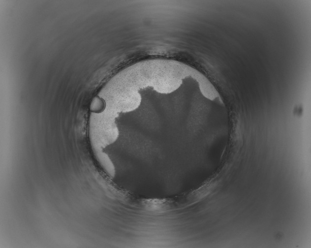 X0000114720273200911181411